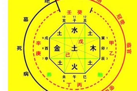 丙火喜忌|八字入门之丙火日干的喜忌 八字中丙火日干人生命运